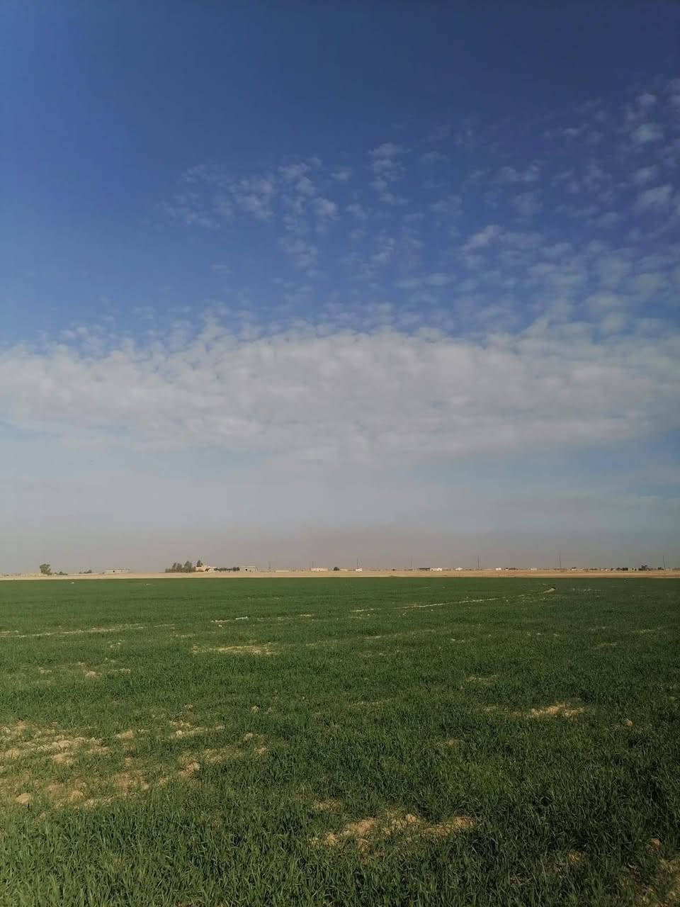 ارض زراعيه 100دونم تبعد عن مركز المدينه 15دقيقه خلف الملعب واصله ماء وكهرباء بيه بير تبعد عن التبليط 200م تفاصيل أكثر اتصل على ***********
