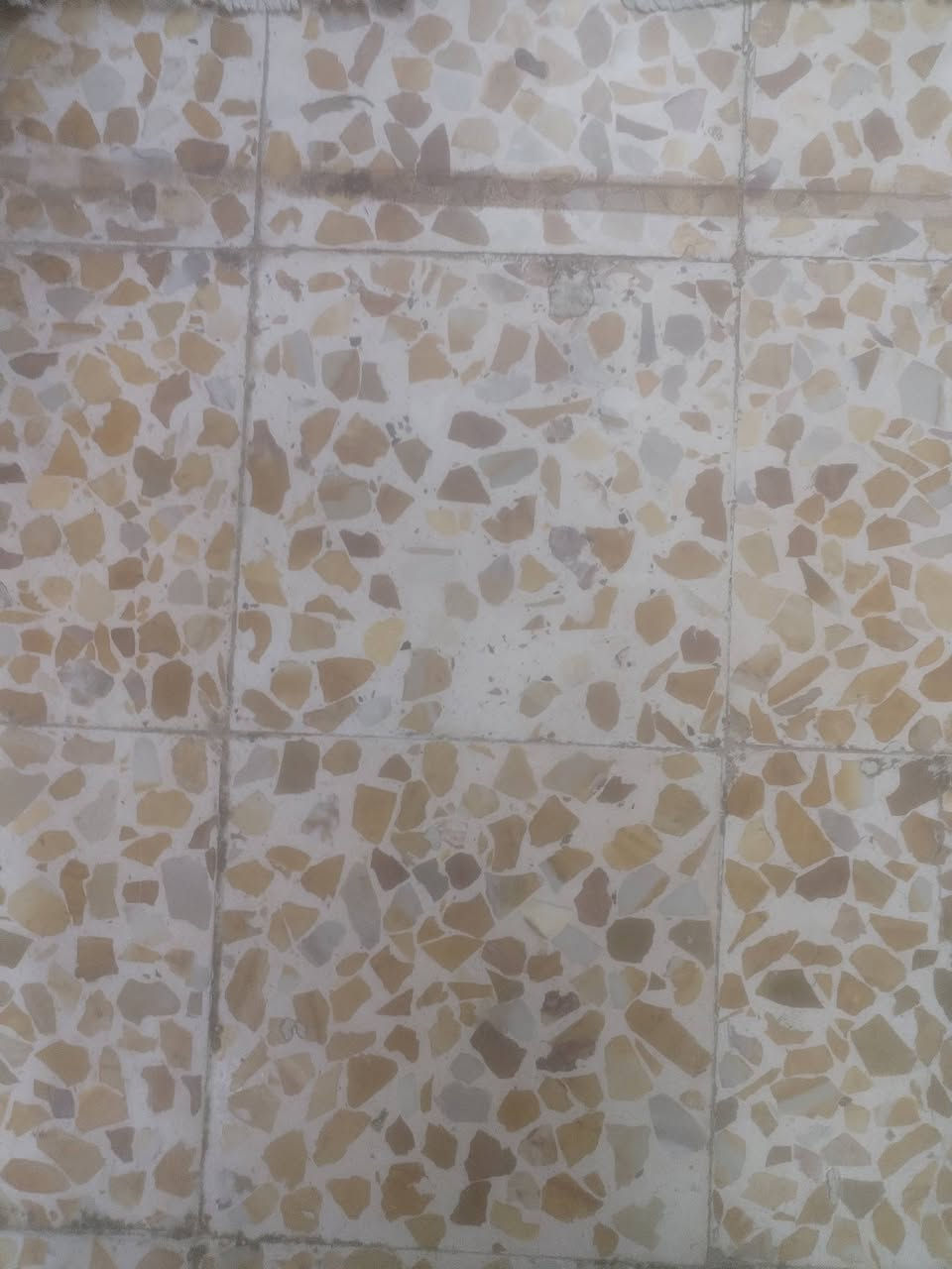 سلام عليكم كاشي مستعمل منو يريده شرط نظيف وجديد مال بغداد درجه اولئ اريد اشيله لئن كفع بسبب جص بل ارظيه بعده بمكانه الي يريده يراسلني  مكان كربلاء حي الاطارات


**إذا كنت صاحب هذا الإعلان وتريد حذفه لأي سبب، رجاءا أرسل رسالة إلى الدعم الفني**