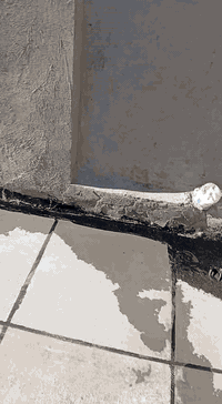 عمل كافت الدور السكنية والابنيه ودوائر الدولة تطبيك شتايكر درجه اولى داخل الكوت شرط  التواصل. ***********. رقمي اتصل وتدلل اسعار تنافسية
