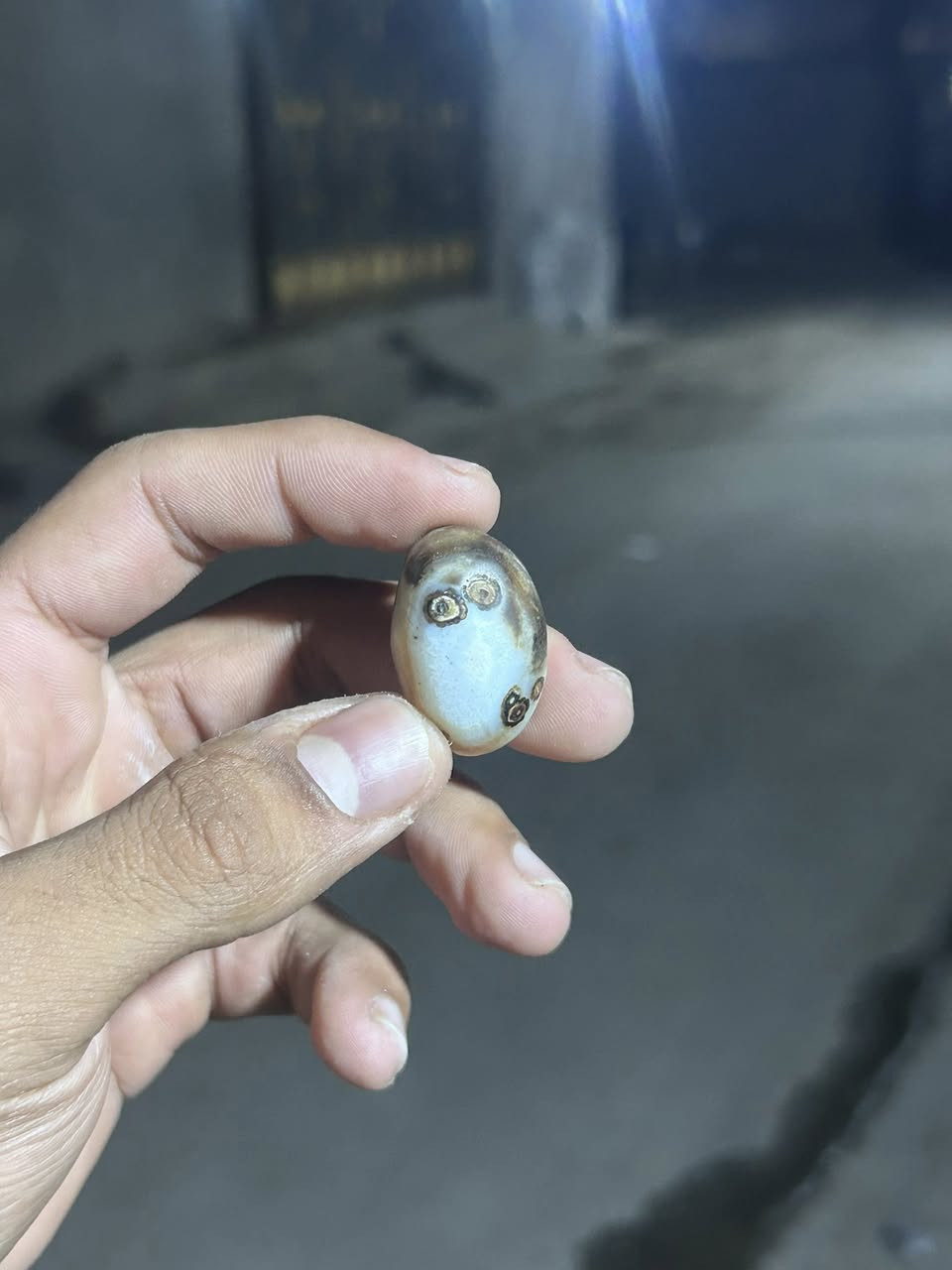 داودي عطف ملاكط مصور وجه  قيم وخذ


**إذا كنت صاحب هذا الإعلان وتريد حذفه لأي سبب، رجاءا أرسل رسالة إلى الدعم الفني**