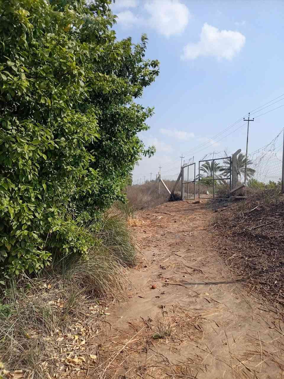 بستان للبيع ملك صرف  المساحه دونم ربع   تحويل مباشر
 مزروعه حمضي  ونخل    موقع حلو ع شارع تبليط  ومي وكهرباء واصل   بس ربط  المكان ديالى منصورية الشط
للاستفسار الاتصال ع ***********
السعر  ع الخاص او اتصل
