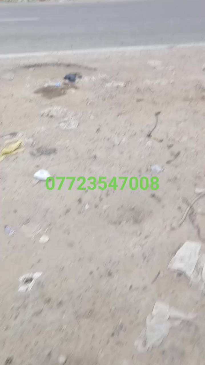 العنوان بغداد الحسينيه مال راشديه شارع العام مقابيل محكمه اخوكم واخادمكم علي زمان فيتر


**إذا كنت صاحب هذا الإعلان وتريد حذفه لأي سبب، رجاءا أرسل رسالة إلى الدعم الفني**