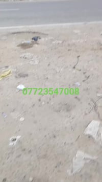 بغداد الحسينية • شارع العام • فيتر