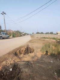 طريق السنية السياحي • ١ دونم • اشجار مثمرة