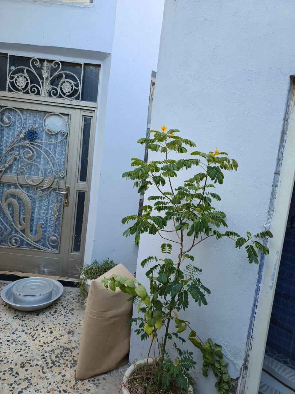 يالله
اللهم صلى على محمد وال محمد 

نجف ...نداء

بيت ١٠٠ متر بنداء منطقه ل ٦٠ الف قريب على شارع جامعه الكفيل البيت  على ساحه طابقين عكاده الاول طابوق يحتوي عل غرفه وصاله ومطبخ واستقبال وتخاريج والثاني فرمستون 

يحتوي على غرفتين وصاله وتخاريج

السعر ٧٠ قفل 

***********
