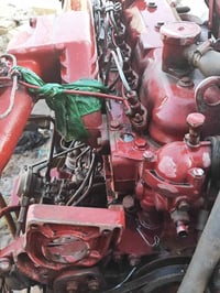 مولده افيكو حجم 104راس توليد 50 كي في 07828964757