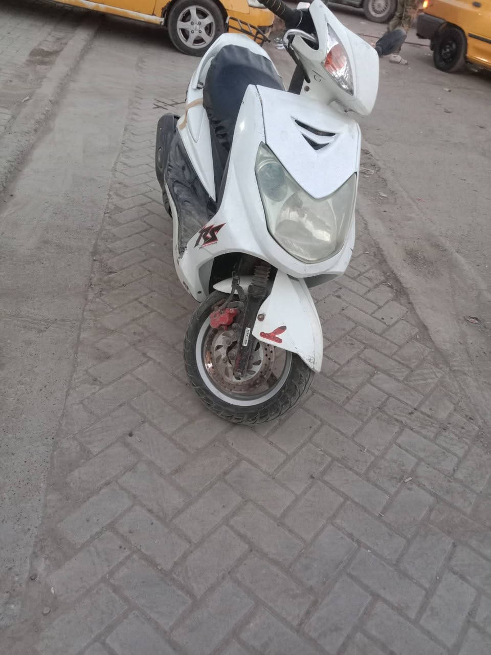 سكنس فحل ياباني للبيع عنوان بغداد الدوره السعر 725 مجال بسيط للاتصال ***********
