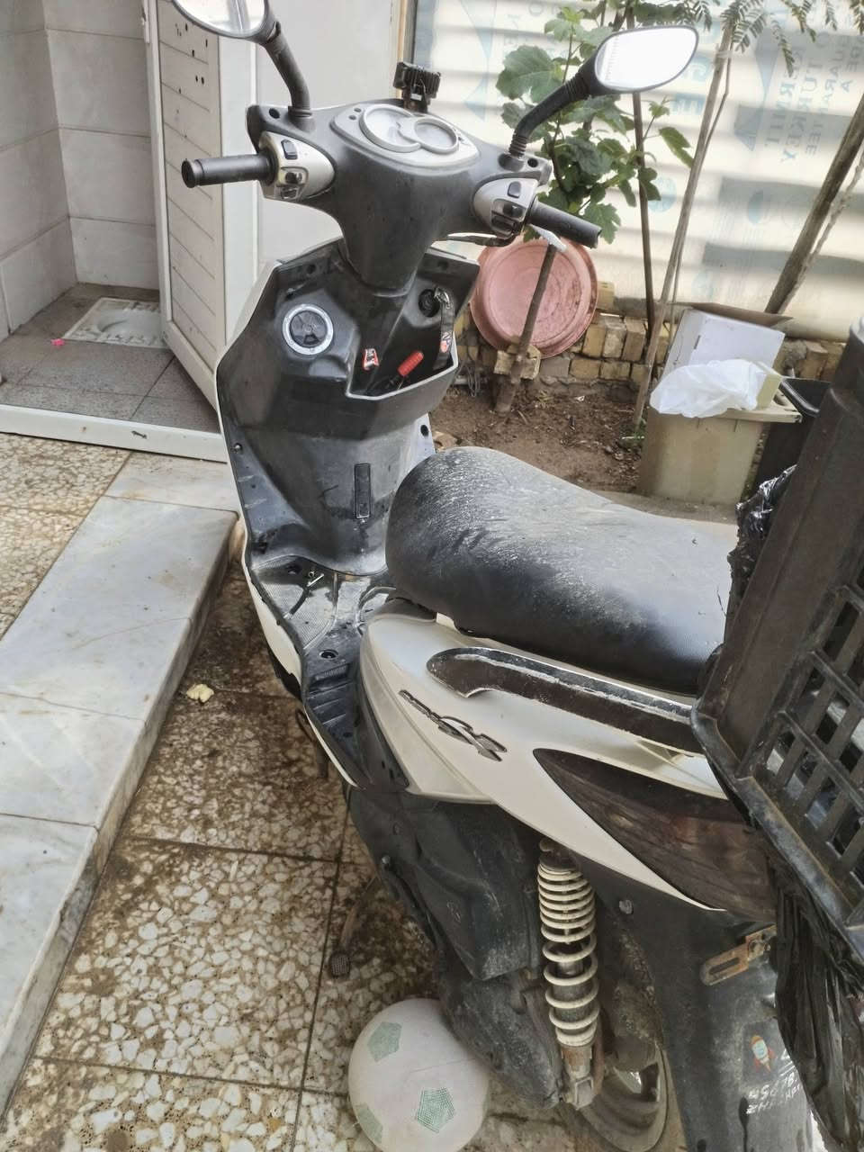 سكنس فحل الدراجة كوري هندر كفرات اصلي 
الدراجة خير من الله بس طفت بيه ما اعرف بيهن تجفيت او نوزل او غير شي   وما متفرغ بسبب العمل صارلها شهر  متروكة 

السعر 450 🔏

بغداد قرب علوة الرشيد 
***********
*********** وات ساب
