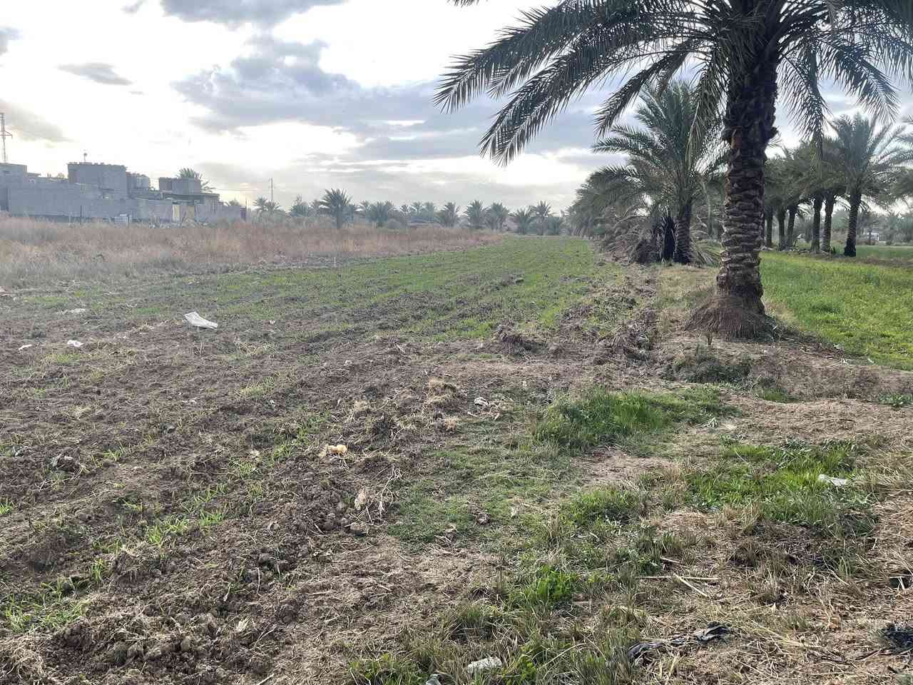 دونم للبيع عقد 35في كربلاء شارع الرابط الواجهه 17عالشارع مباشرة للمعلومات الاتصال/*********** /***********
