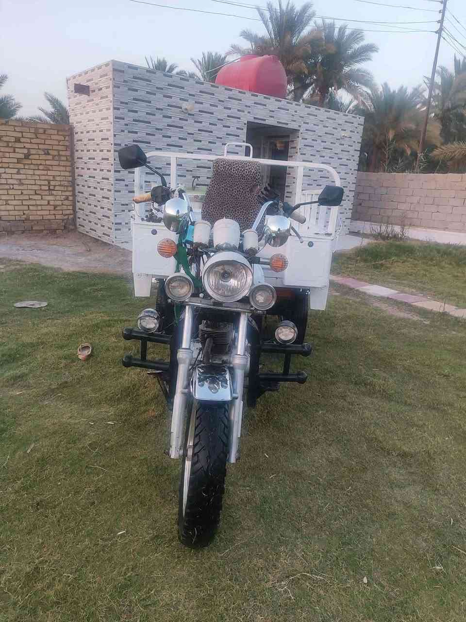 سلام عليكم شباب ستوته اللبيع كلك مكفوله كفاله عامه مكاني بابل ناحيت الطليعه اليريد راسني خااص أو يتصل ***********

