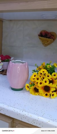 فازة توليب • توصيل محافظات