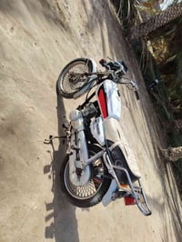 تايگر • 2020 • أوراق كاملة