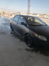 ٢٠٠٩ • وارد امريكي • صبغ عام