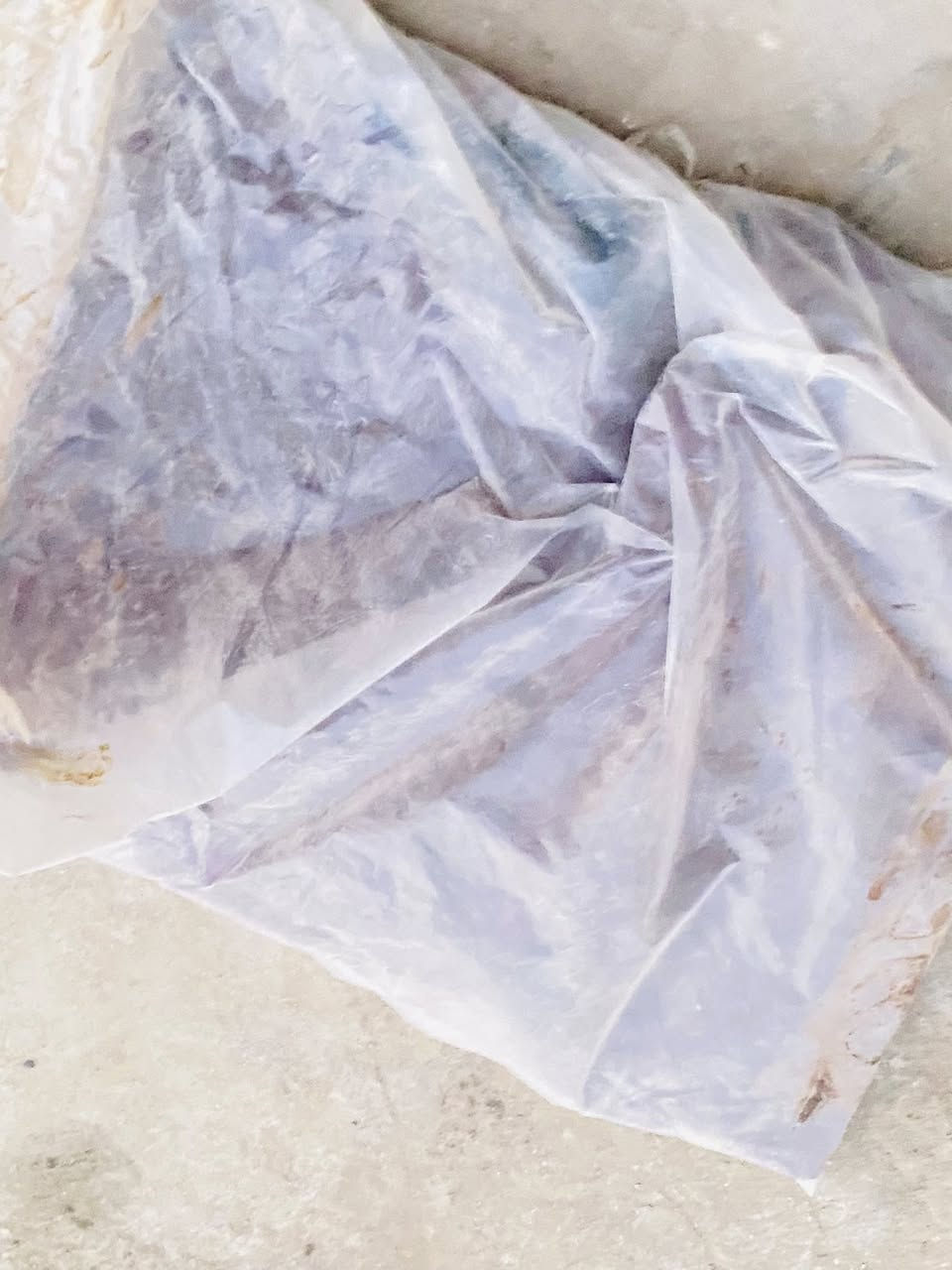 سلام عليكم كاعيات مال بيكم هايلوكس 2023 مامفتوحات بعدهن بل جيس  مال اليابان المكان بابل رقمي ***********7
