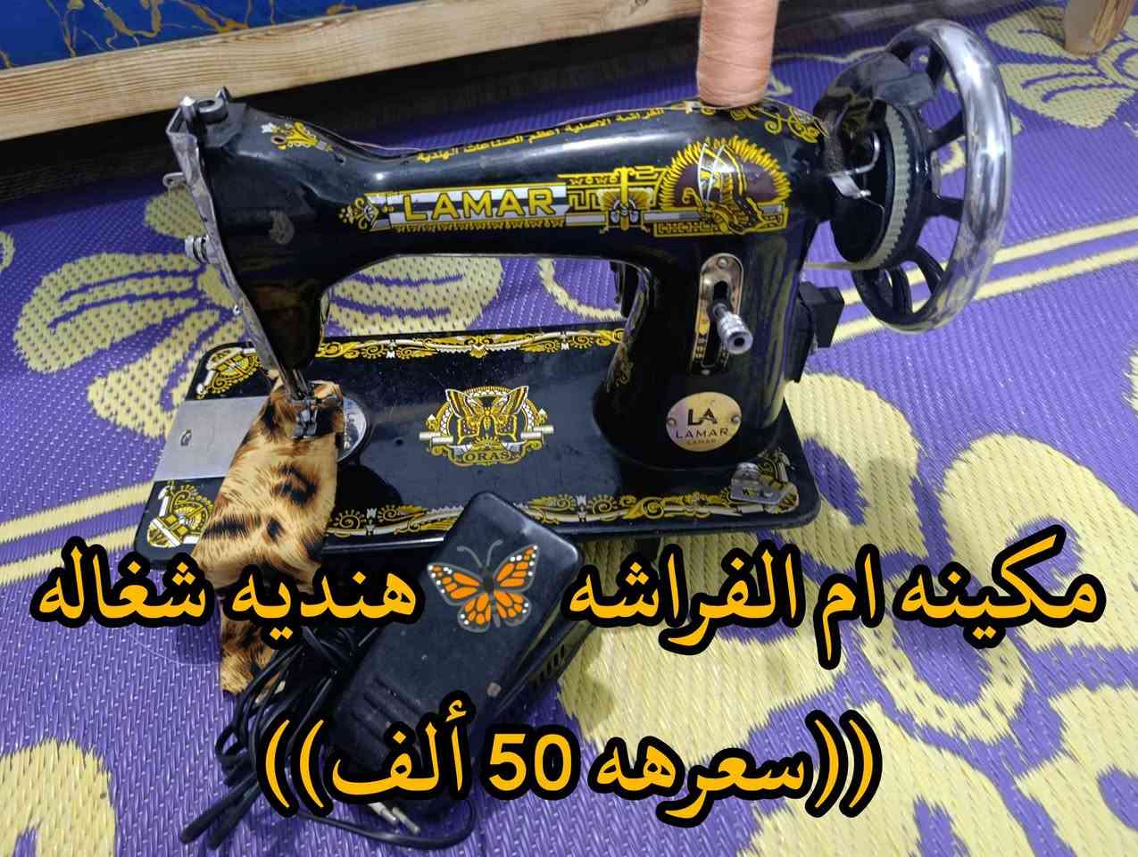 المكان ديالى بعقوبه بهرز / 🟥كاونتر ارضي طول متر و10 سم ((سعره 55 ألف)) وبي مجال
🟧مكينه ام الفراشه الهنديه 🦋 شغاله ((سعرهه 50 ألف)) 
🟩رافع ابو 5 ألاف شغال نوعيته مگزما ((سعره 75 ألف))وبي مجال
🔷العنوان: بهرز، بداية الدواسر، قرب المختار نوري، للمعاملة والإستفسار راسلونا على هذي الصفحة على الخاص، أو الاتصال على هذا الرقم ***********
