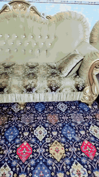 تخم عشر مقاعد  عوزه بس تنضيف سعره 350مكاني بغداد   07714950648