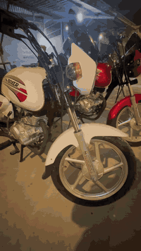 بوكسر • موديل ٢٠٢٦ • أحمر أبيض