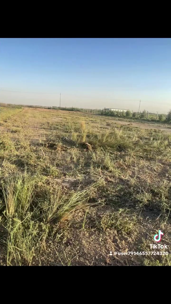 سند 25تحويل مباشر عبور الجسر الفرنسي ام العبيد ***********
