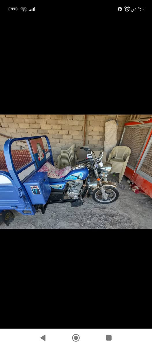 ستوته جمره البيع 23 كفال احله من صوره شرط رقمي *********** مكان شطره
