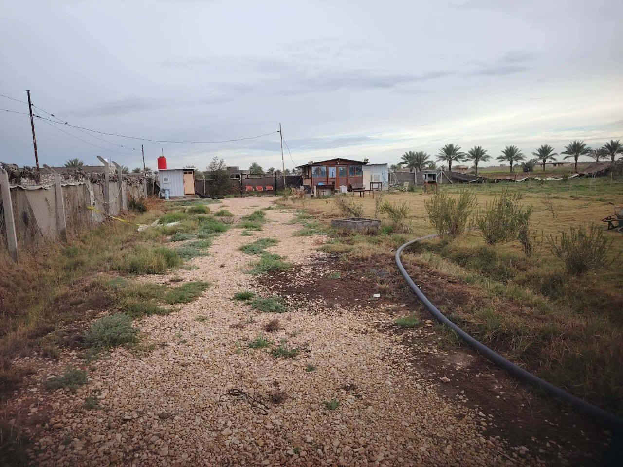 مزرعه دونم جاهزه موقع ممتاز 
#مساحه المزرعه //2500م 
#جنس #العقار// طابو زراعي سند25 باسم مالك 
#موقع //طريق حله نجف خلف جامعه بابل مباشر حي سجاد 
#الخدمات كامله مي كهرباء طريق
#تفاصيل #مزرعه 
كوخ كلش مرتب 
ماطور غطاس 
منقلات لشوي 
مجمع صحي 
مطبخ جاهز 
#بيه مغروسات متنوعه 

#ملاحظه تريده مزرعه جاهزه  سكن أو استثمار أو مخزن 
#قريب جدا علي #طريق #حله $نجف 
#معرفه تفاصيل اكثر مع السعر 
الاتصال***********
