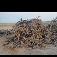 خشب البيع 07717474617