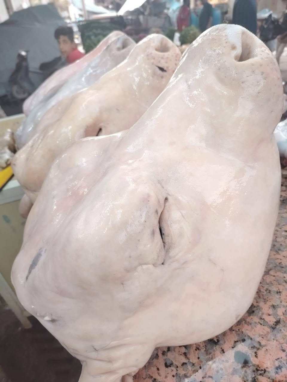 السلام عليكم باجات ب١٠ توصيل  موجود داخل *********** رقم بي وتساب
