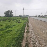 كاع زراعي • ٤ دوانم ونص • خانقين كلار