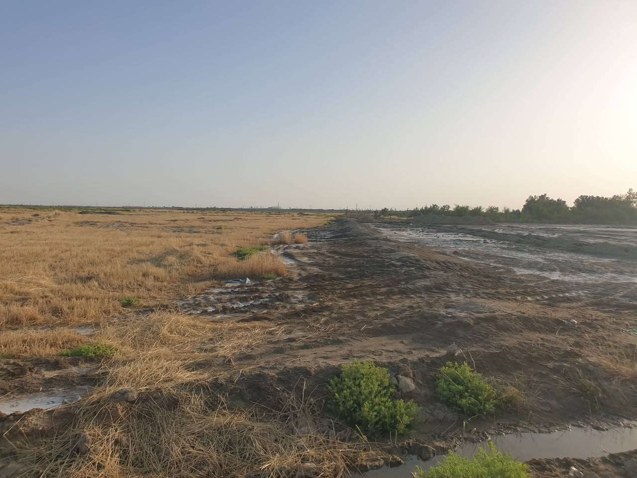 السلام عليكم ورحمة الله وبركاته 
سفير البيع 
***********
حياكم الله
