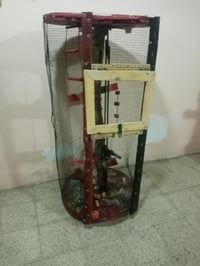 قفص فصال • الميثاق