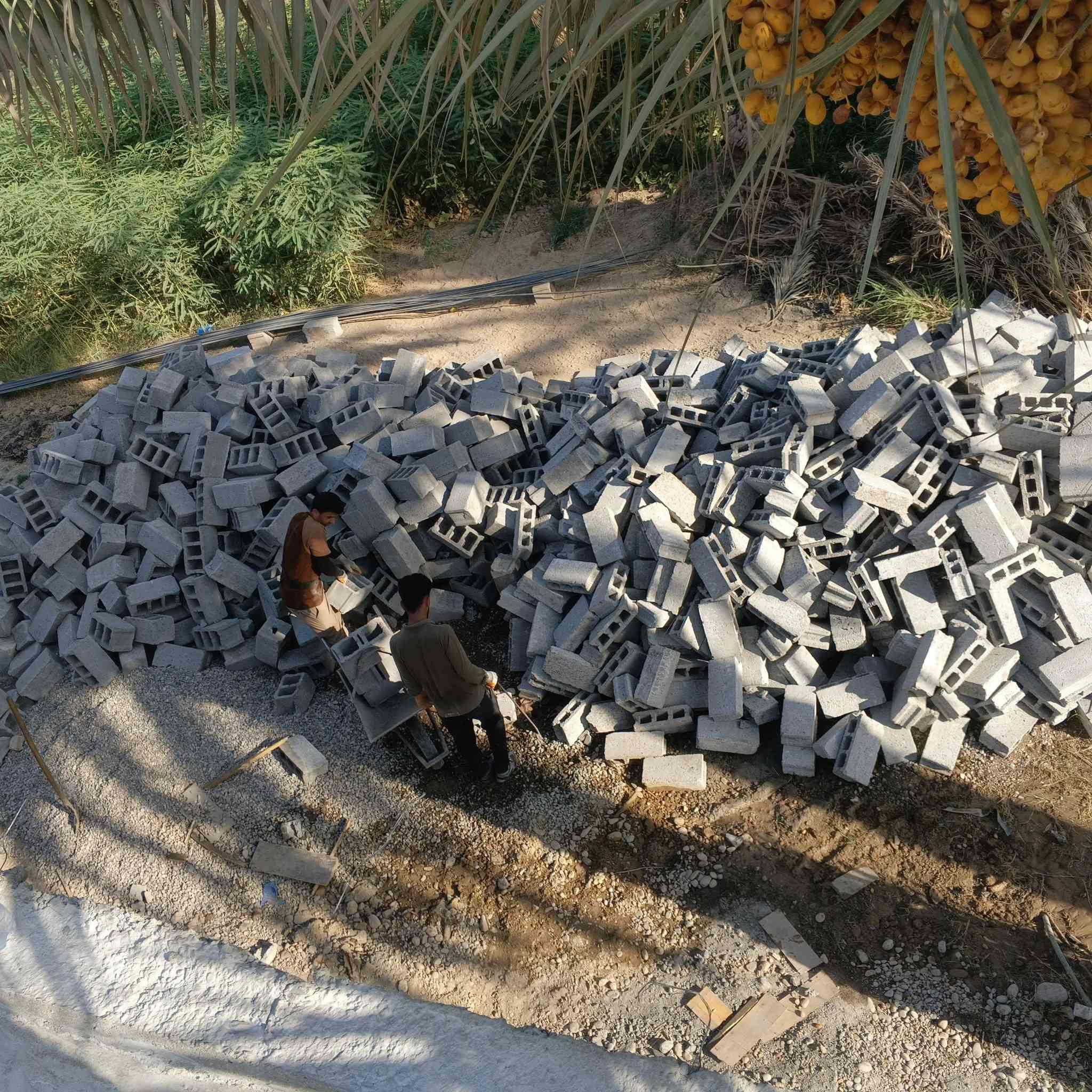 سلام وعليكم تصعيد مواد بناء وتنظيف شبابيك بيوت حدل نشر بلوك تدخيل سبيس تنكير تفليش تدخيل جص بسعر مناسب ***********
