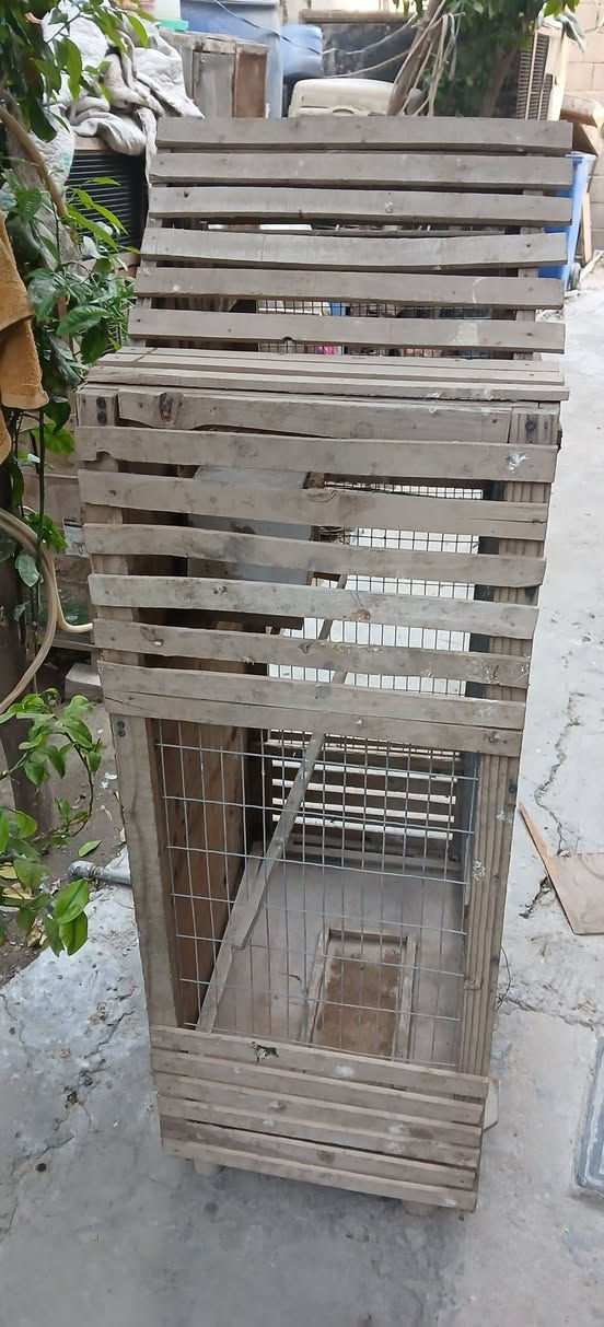 السلام عليكم اخوان
اقفاص للبيع اعدم الاستفاده منهن قفص كبير حديد /والاخر قفص خشب مرتب وجميل ديكور حلو السعر الاثنين ٤٥ بيهن مجال وشكراً


**إذا كنت صاحب هذا الإعلان وتريد حذفه لأي سبب، رجاءا أرسل رسالة إلى الدعم الفني**