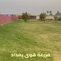 مزارع للايجار • نظام شفتات • المدائن سلمان باك