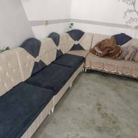 ديوان • ظهر فايبر • مستخدم