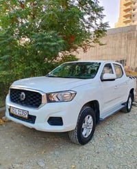 بيكاب • بدن تايلندي • السليمانية