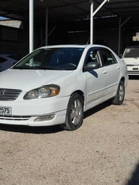 كورلا نحله • ٢٠٠٧ • رقم بغداد