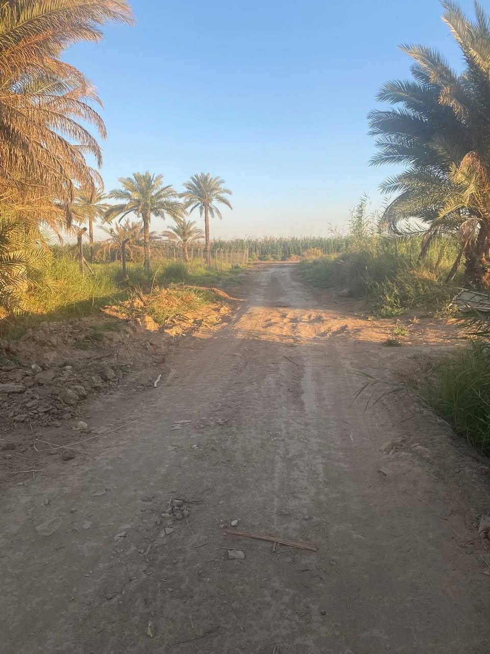 سلام عليكم 5 دونم واقع حال اكثر من 6 دونم 
العنوان بغداد الراشديه حي المهندسين 
5 دونم سند تحويل مباشر ثاني يوم تفتح بيان 
خدمات كامله ماء كهرباء صايره عله شارعين امامي خلفي الارض جدا ممتازه وموقعه كلش حلو 
ترهم سكن او شاليهات او مزارع منتجه 
كافه انواع النخيل متوفر بيه 
السعر جدا مناسب 
للاستفسار *********** 
متوفر واتساب ايضا
