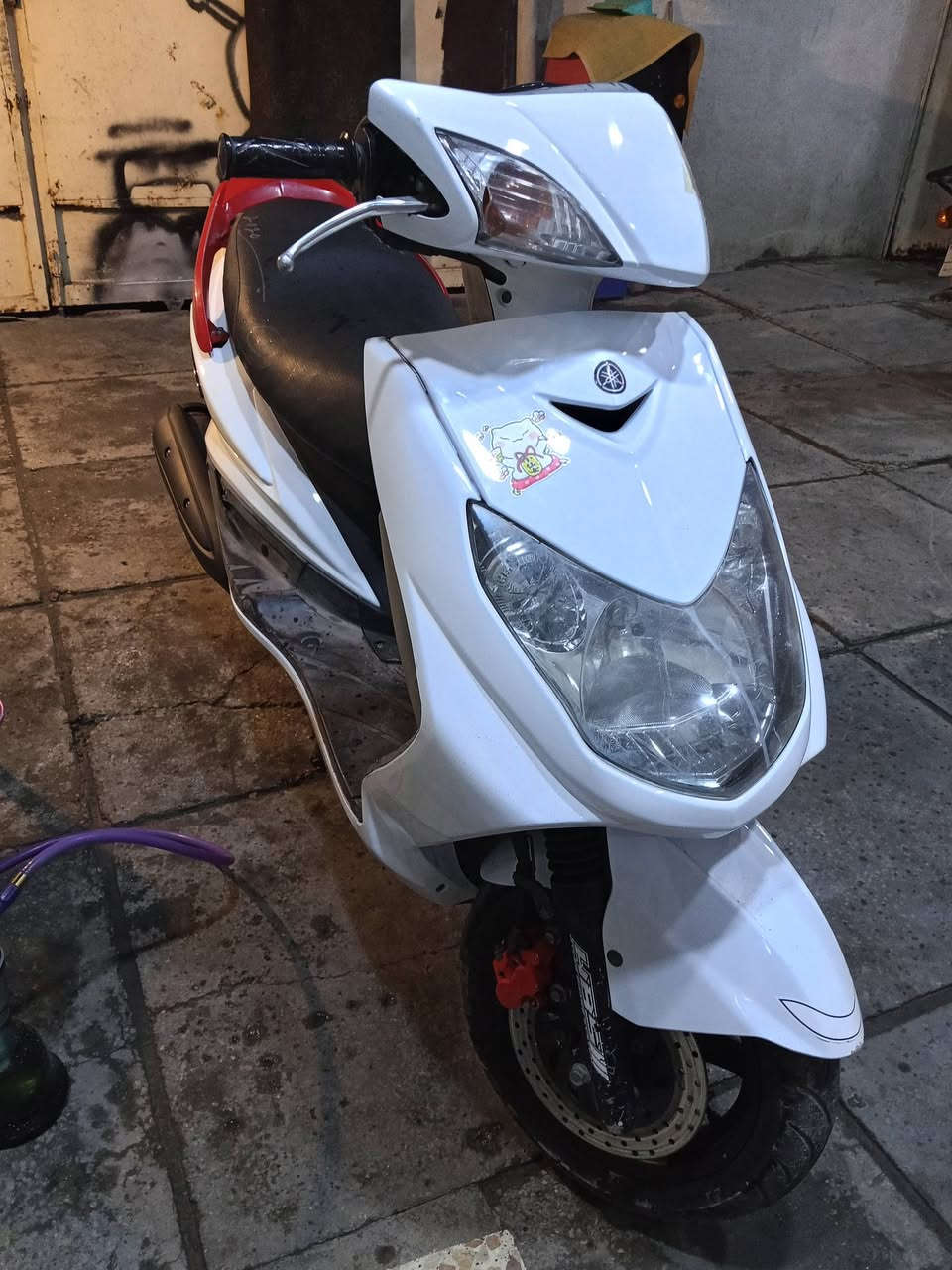 سكنس فحل ياباني للبيع دراجة مكفولة وجديدة وسعر مناسب 750 بيهة مجال ناعمة وخير من لله نكرة سلف مكاني بغداد ***********
