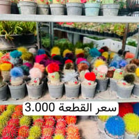 يالله وجبة جديدة انشاء الله الاسعار داخل الصور  للطلب والاستفسار  0773...