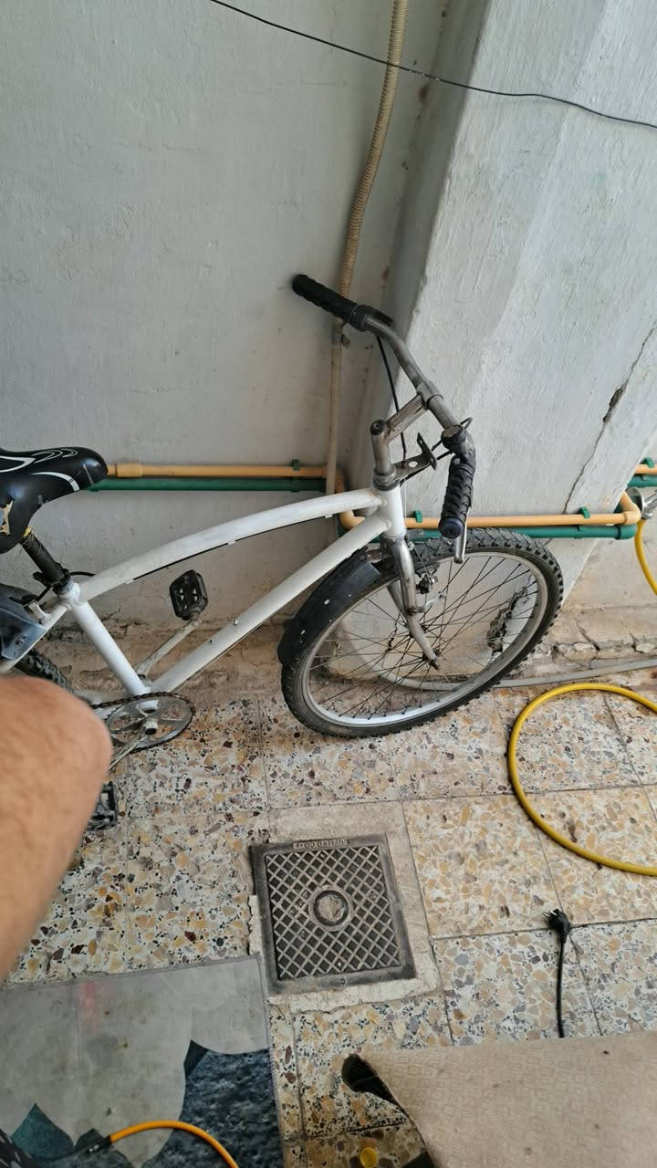 سلام عليكم باسكل جبلي لبيع سعر ٥٥ بي مجال مكاني نجف


**إذا كنت صاحب هذا الإعلان وتريد حذفه لأي سبب، رجاءا أرسل رسالة إلى الدعم الفني**