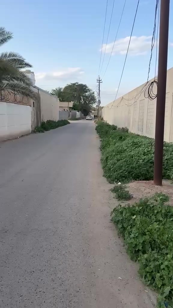 الاستفسار ***********
