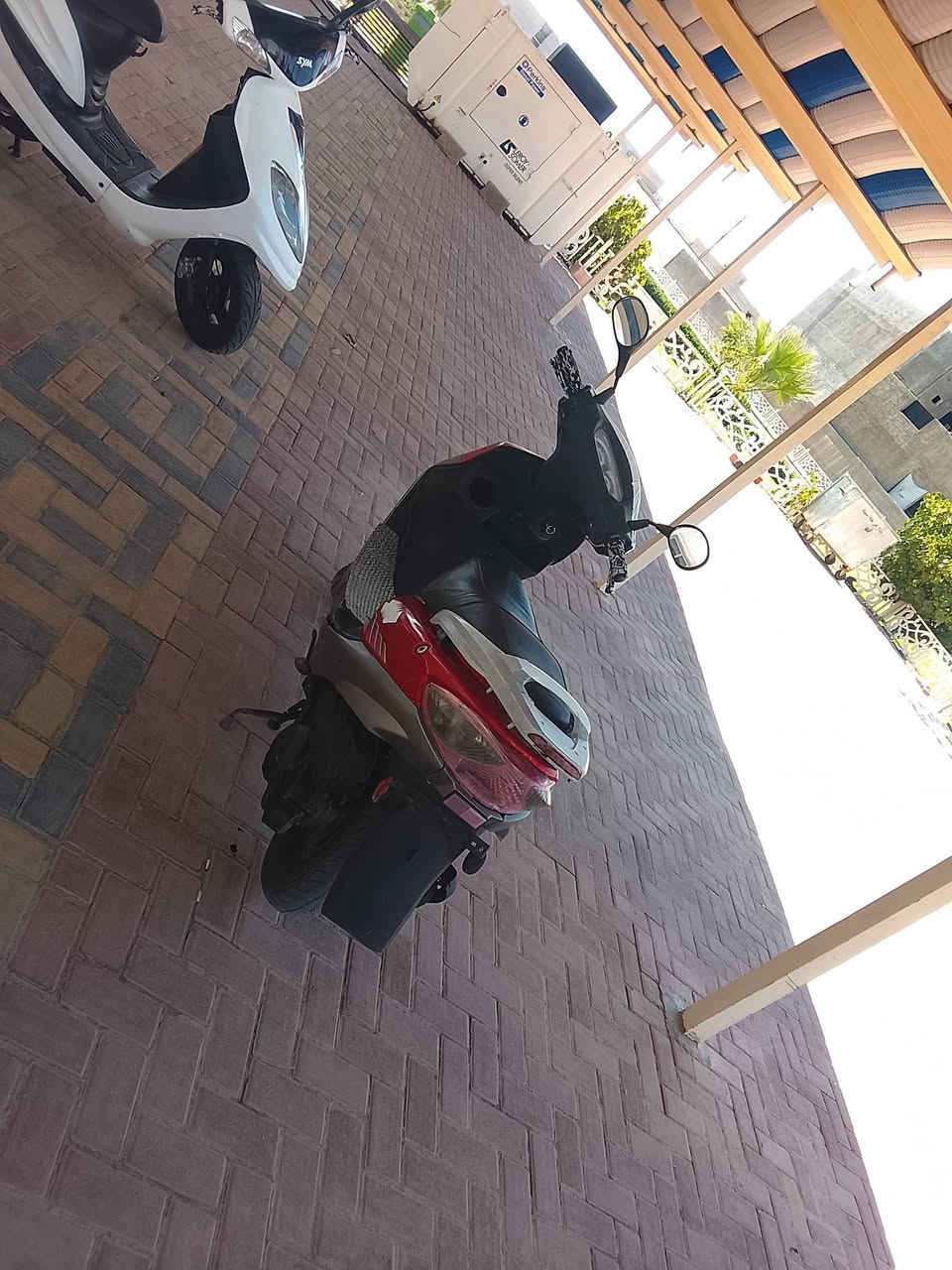 يا اللّه للبيع دراجة سايم ابو عيون محرك نظيف كهربائيات سلف هندر كله شغال السعر 475 وبي مجال العنوان الرمادي التواصل على الرقم ***********
