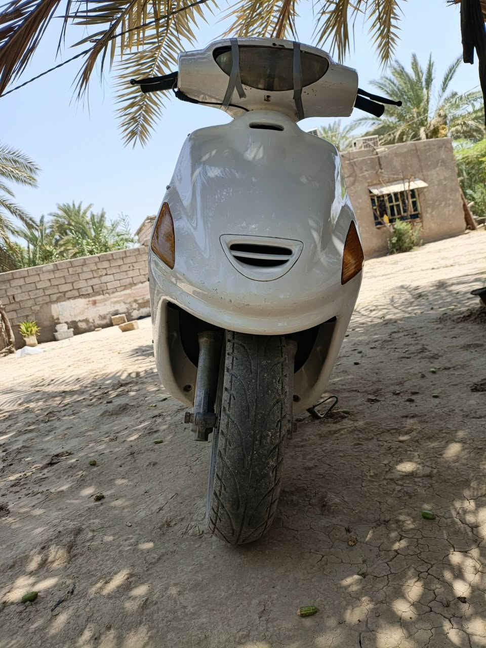 فراشه للبيع حلوه ونظيفه ب 300 وبيه مجال
‏‪***********‬‏

