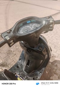 دولفين • مستعجل • لايت خلفي