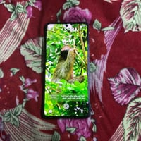 تكنو كامون 20 برو  ذاكره 256  الرام 16 البطاريه 5000 الجهاز يشغل ببجي ...