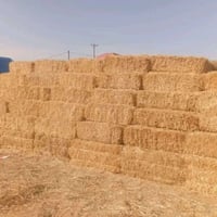 تبن كبس • درجة أولى • جبله الحيدري