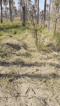 السلام عليكم 
الهم صلي على محمد وآل محمد .   (1)  دونم و1000م طابو صرف.
العنوان :كربلاء / الحسينية / منطقة مصطفى خان.
تبعد عن مركز المدينه 7كم تقريبا. 
للاستفسار اكثر الاتصال على الأرقام (***********)و *********** )
للمزيد من العروض تابع الصفحة . #الجميع
