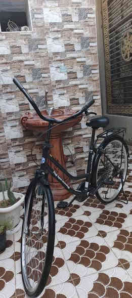 بايسكل للبيع  نظيف البايسكل شوفت عينك 
سعرة 65 بي مجال حك الجيه مكاني دوانية حي العسكري الثاني  الرقم::***********
