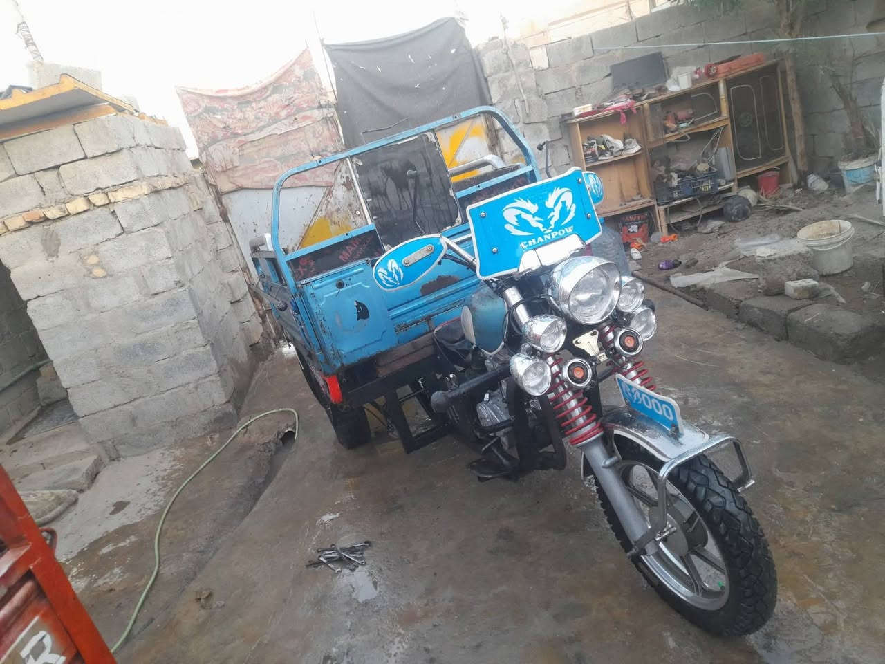 سلام وعليكم ستوته نضيفه وخير من الله ما يحتاجلها اي شي بس الكتف شحن مكان ديالى بهرز تواصل عل خاص اوتصال***********
