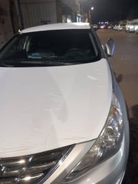 سوناته ٢٠١٤ • خط واحد • دواخل جلد