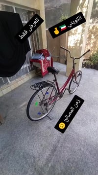 مراوس • مطلوب • للشراء